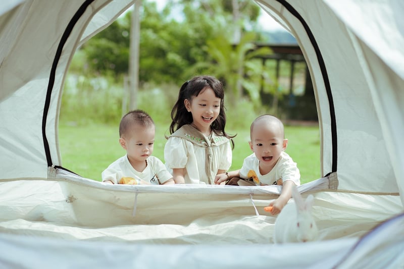 Picnic Basket